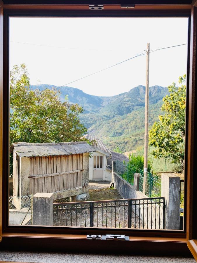 "Casa Do Avo Armindo" Mountain Experience Villa Vila Real Bagian luar foto