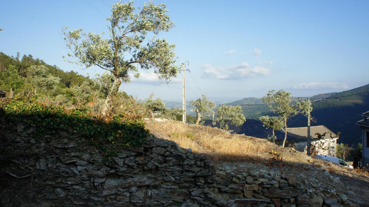 "Casa Do Avo Armindo" Mountain Experience Villa Vila Real Bagian luar foto